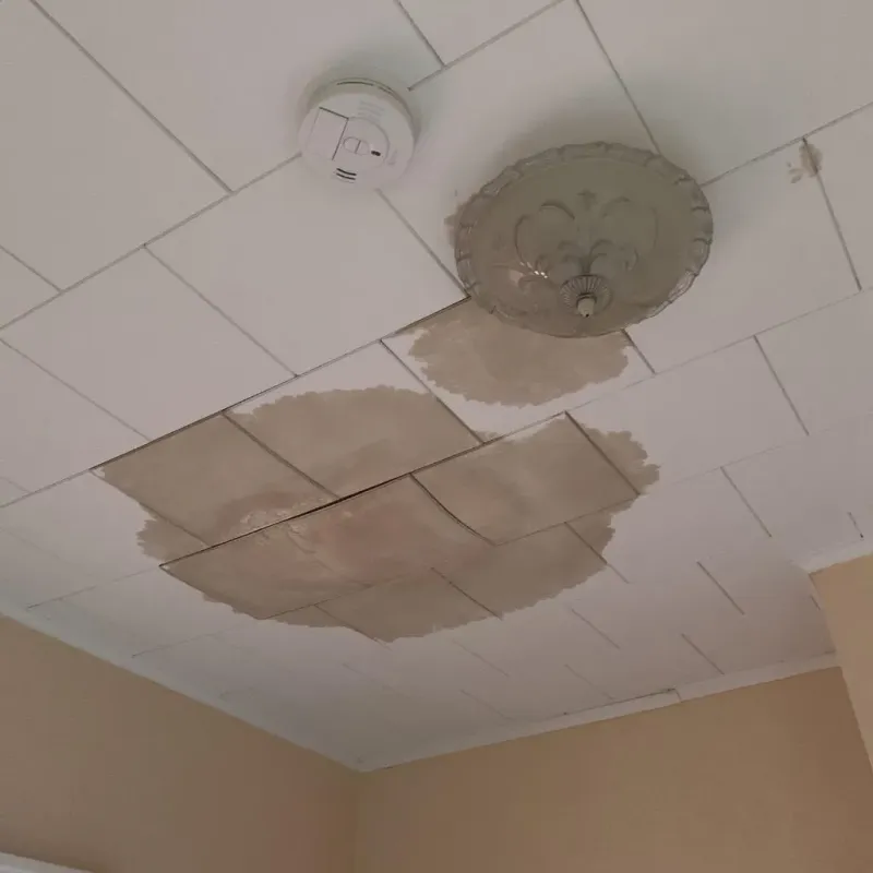 Ceiling Water Damage Repair in Dunkirk, NY