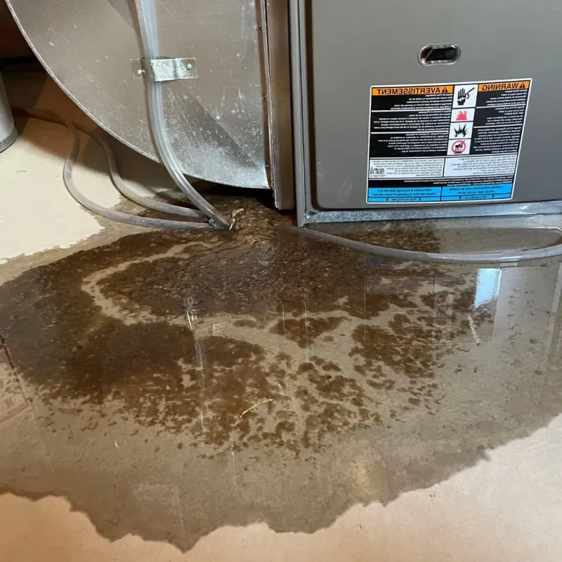 Pipe Burst and Leak Restoration in Dunkirk, NY